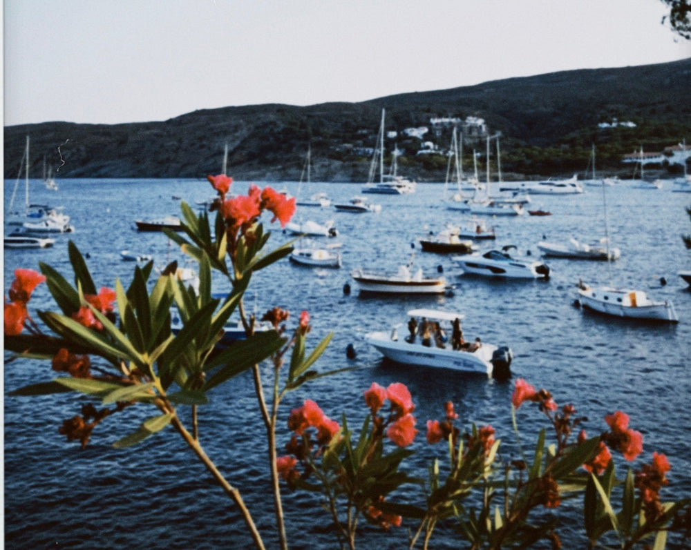 Postcards from Cadaqués - Gouache Studies