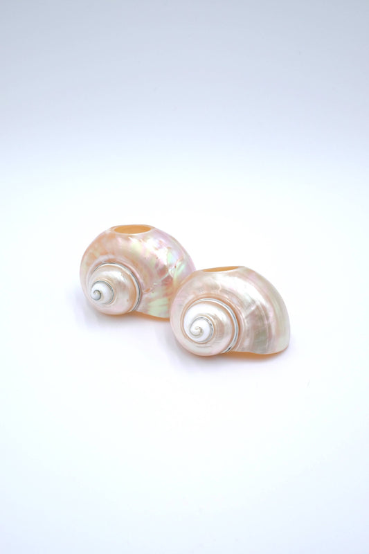 Seashell Napkin Rings, Set of 4