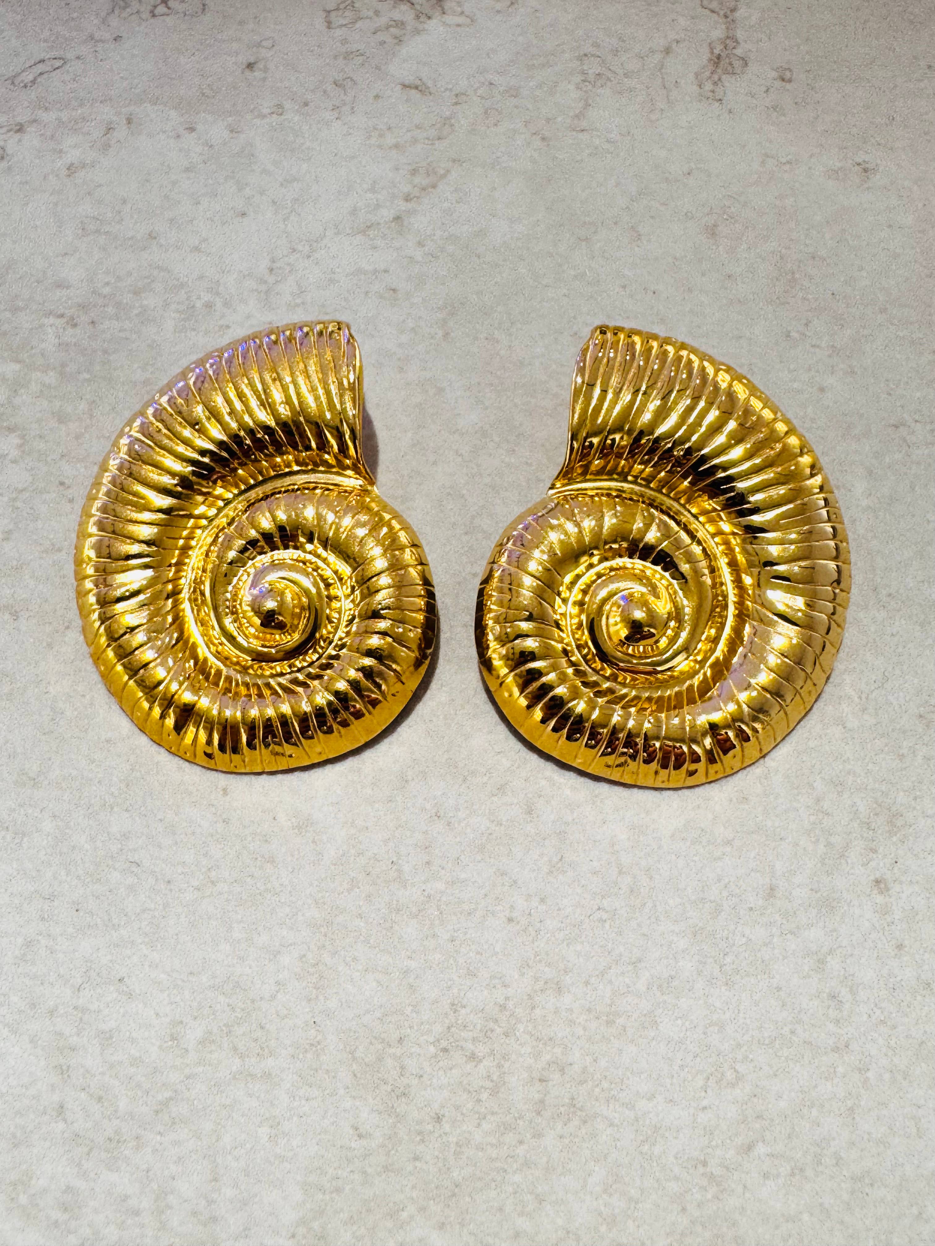 Seashell earrings