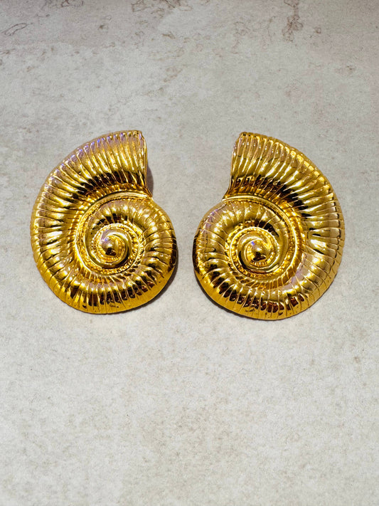 Seashell earrings