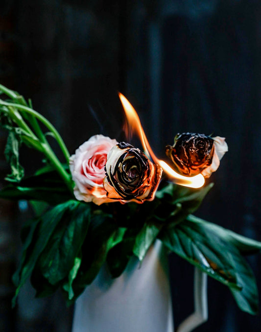 Burning Roses