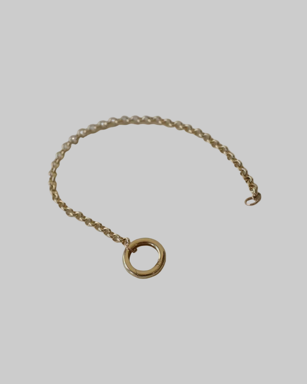 Charm Clip Bracelet with Charm
